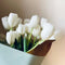 Tulip 郁金香