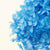 Hydrangea 绣球