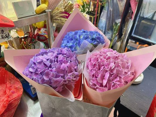 Three hydrangea flower bouquets in pink paper wrapping, featuring purple, blue, and pink blooms, arranged in a gray paper bag on a shop counter.