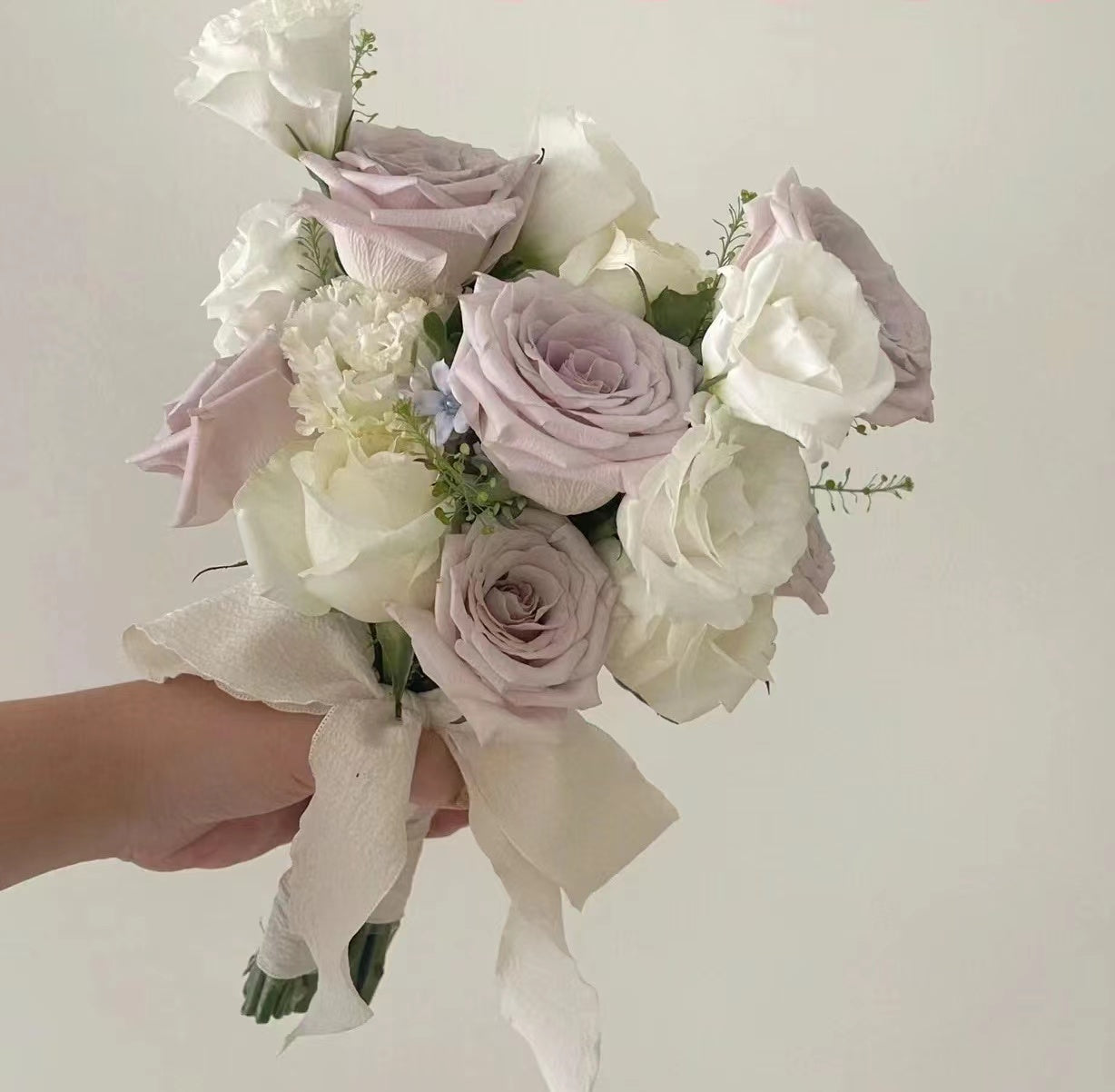 Palette Bloom 3 调色板绽放
