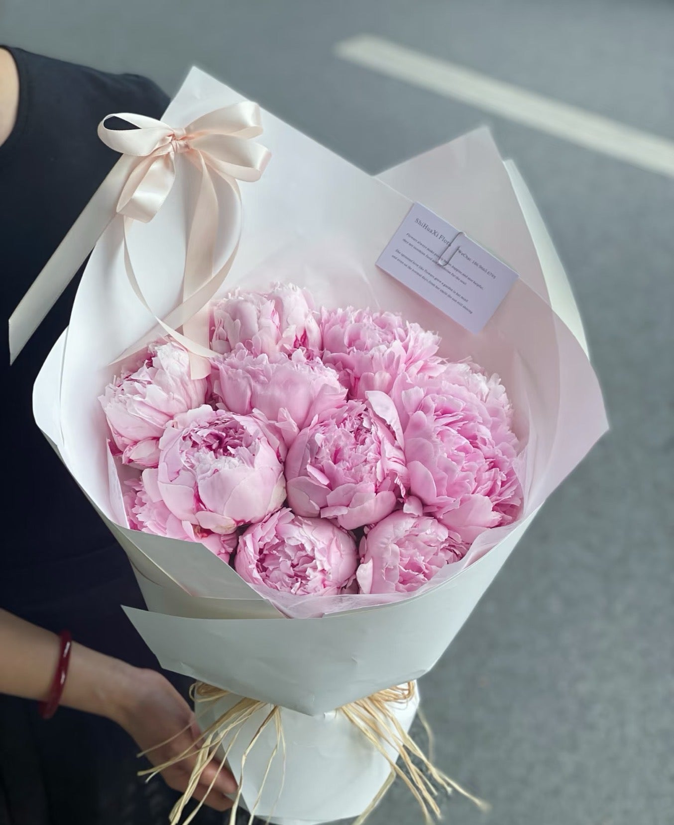 Peony Dream 芍药梦