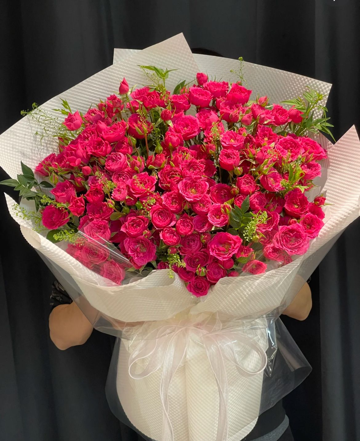 Petal Breeze 花瓣微风