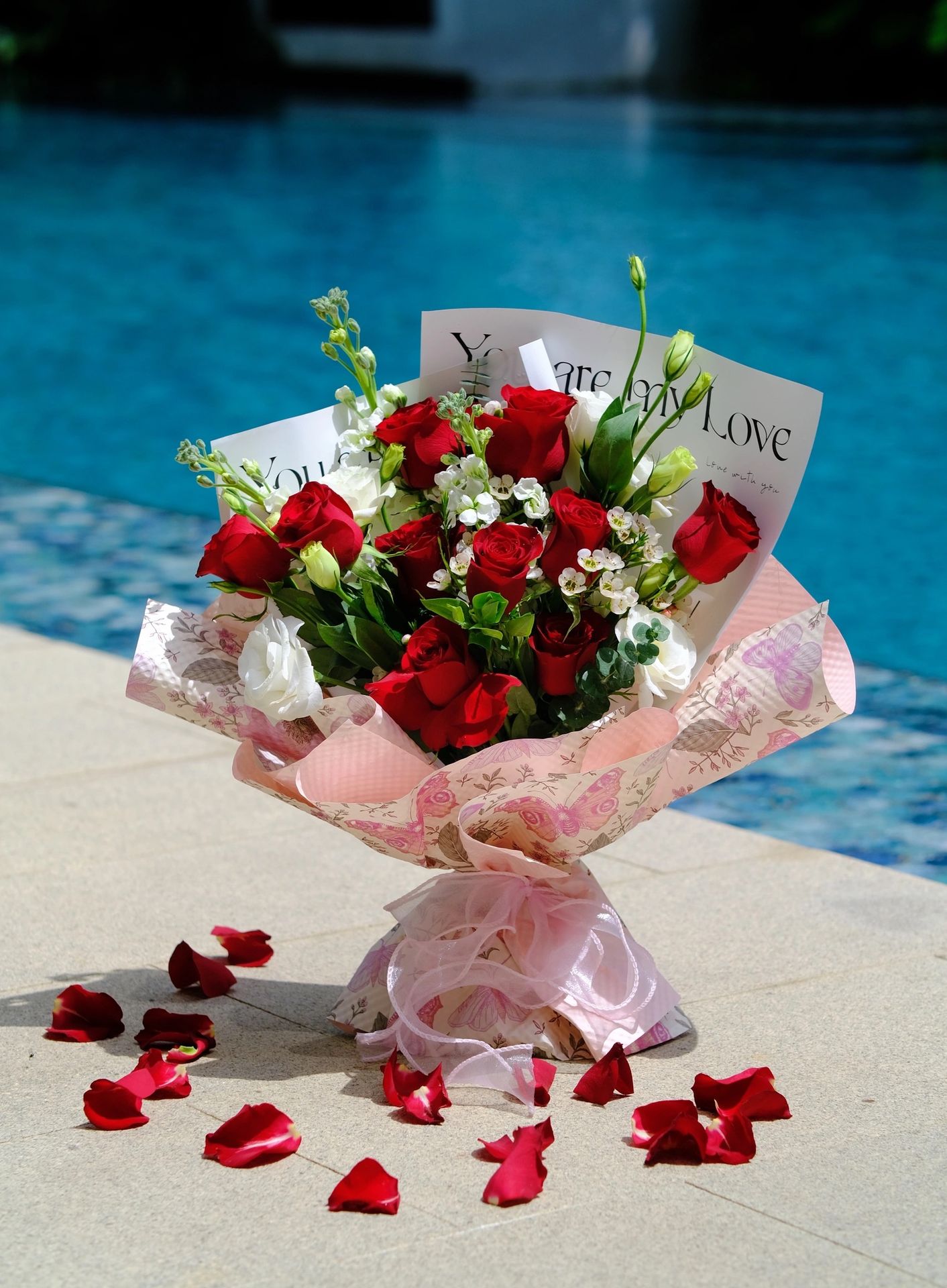 red anniversary roses beside swimming pool