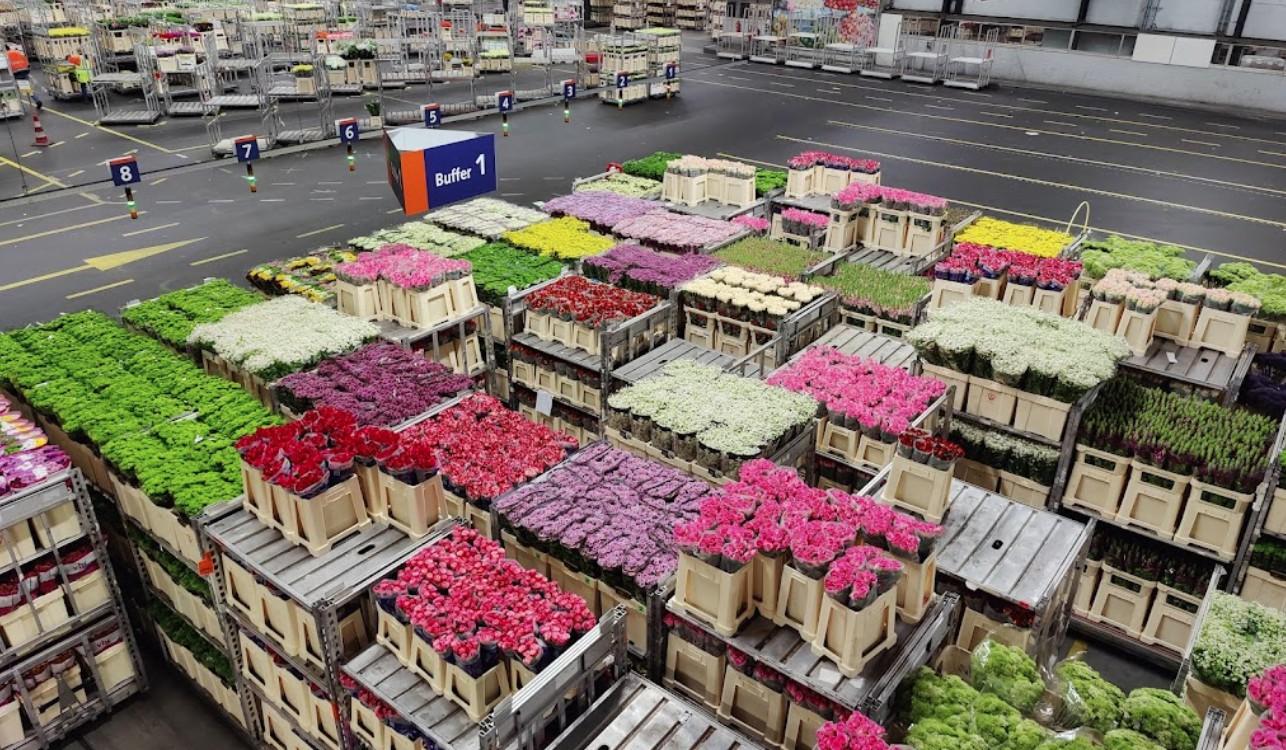 wholesale flower florist