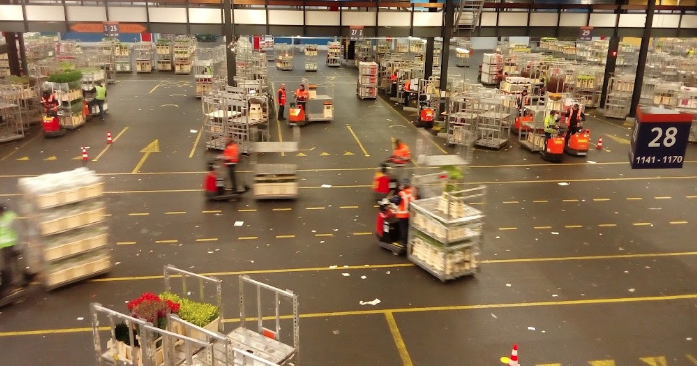 flowers warehouse delivery free